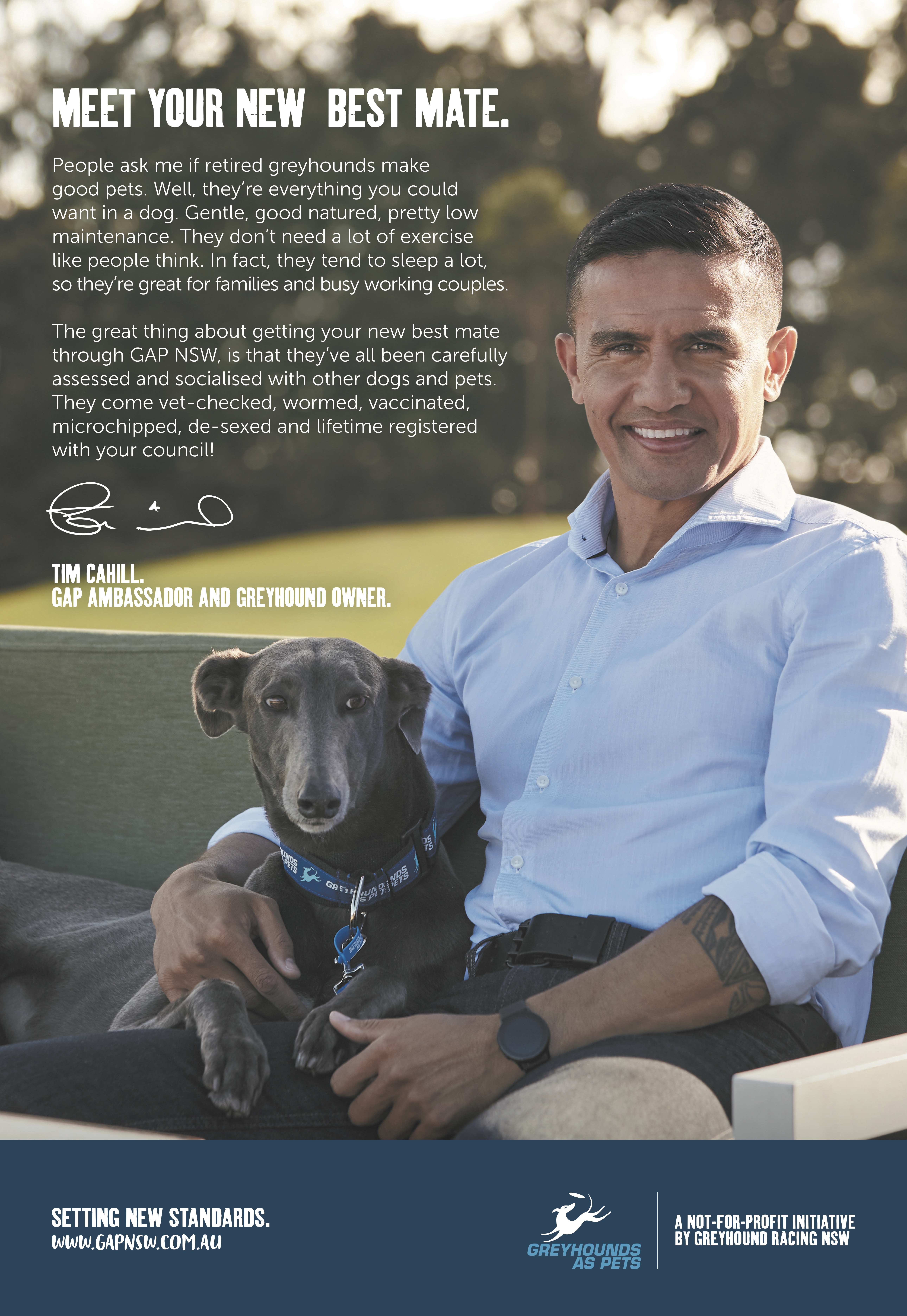 Greyhound Racing NSW + Greyhounds as Pets launch new campaign via Bastion Banjo