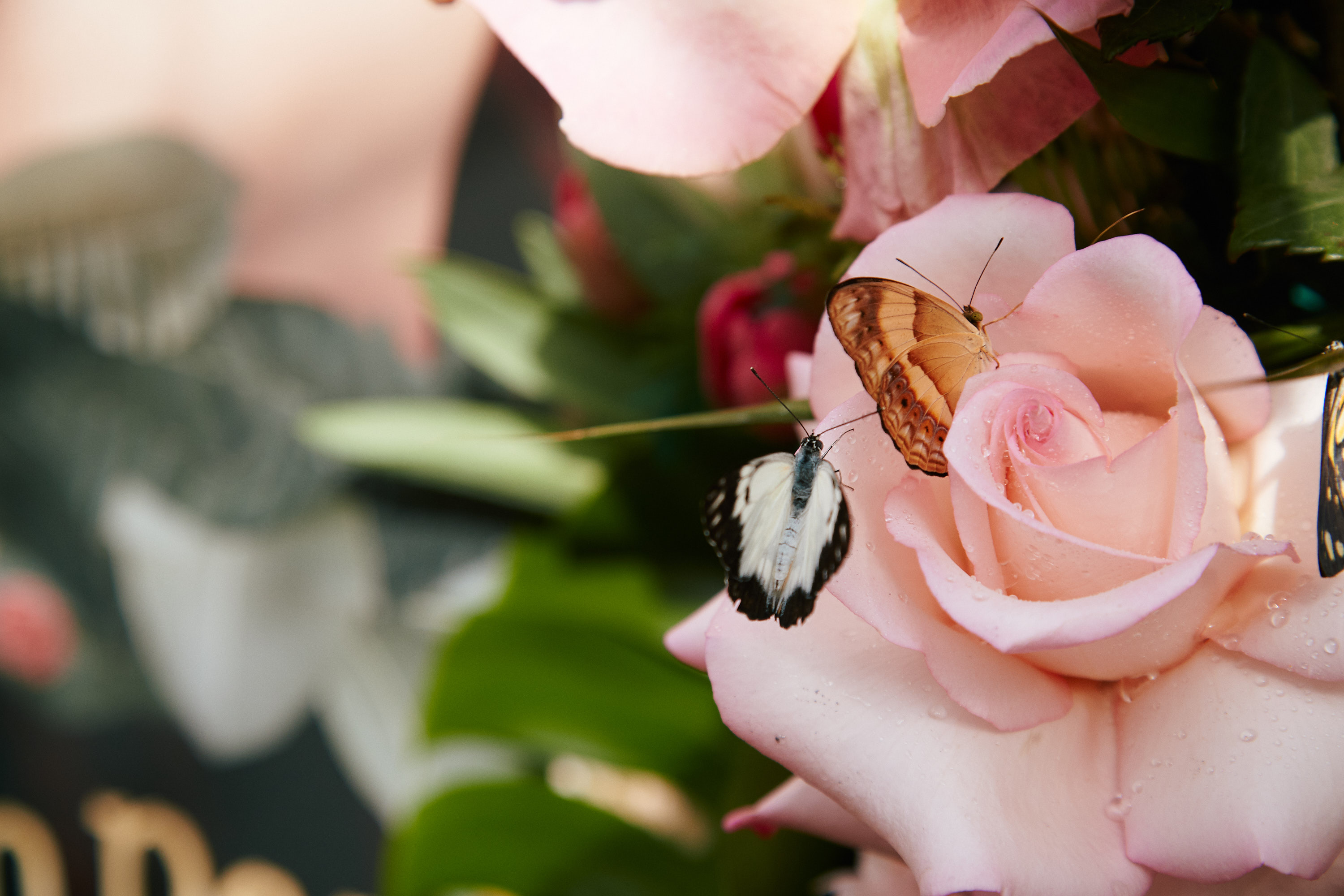 Jean Paul Gaultier celebrates fragrance launch with new #GaultierGarden activation via URBAN