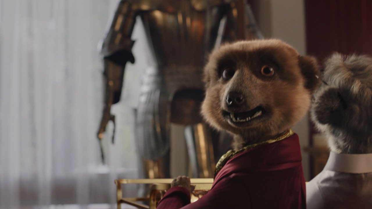A case of mistaken identity sees the Compare The Market meerkats in the bush in new TVC via VCCP