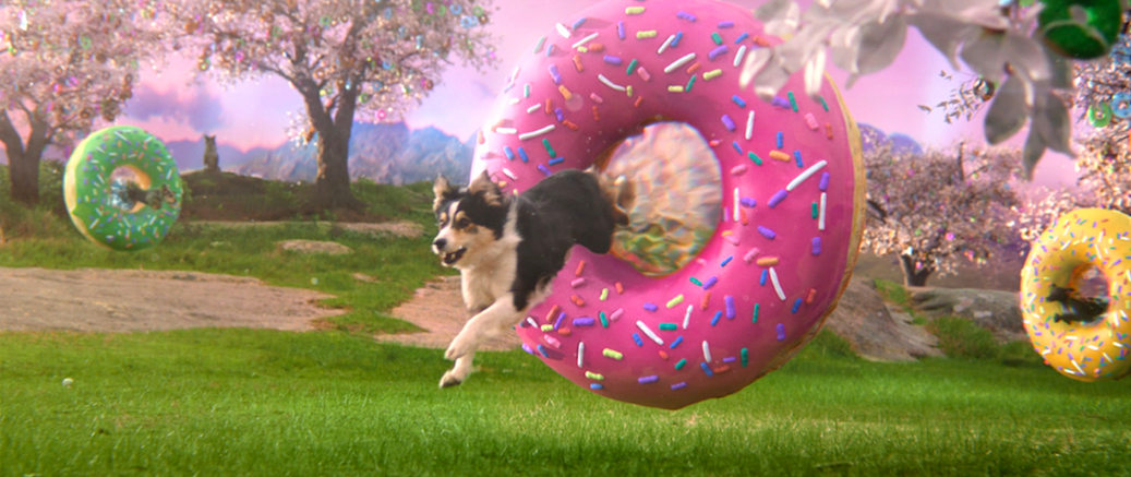 DOMUTS, donuts for dogs: CGU rescues Australia’s ambition in brand relaunch via The Monkeys