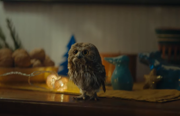 Fluffy little owl spreads message of Christmas charity in new campaign for Migros via WIRZ