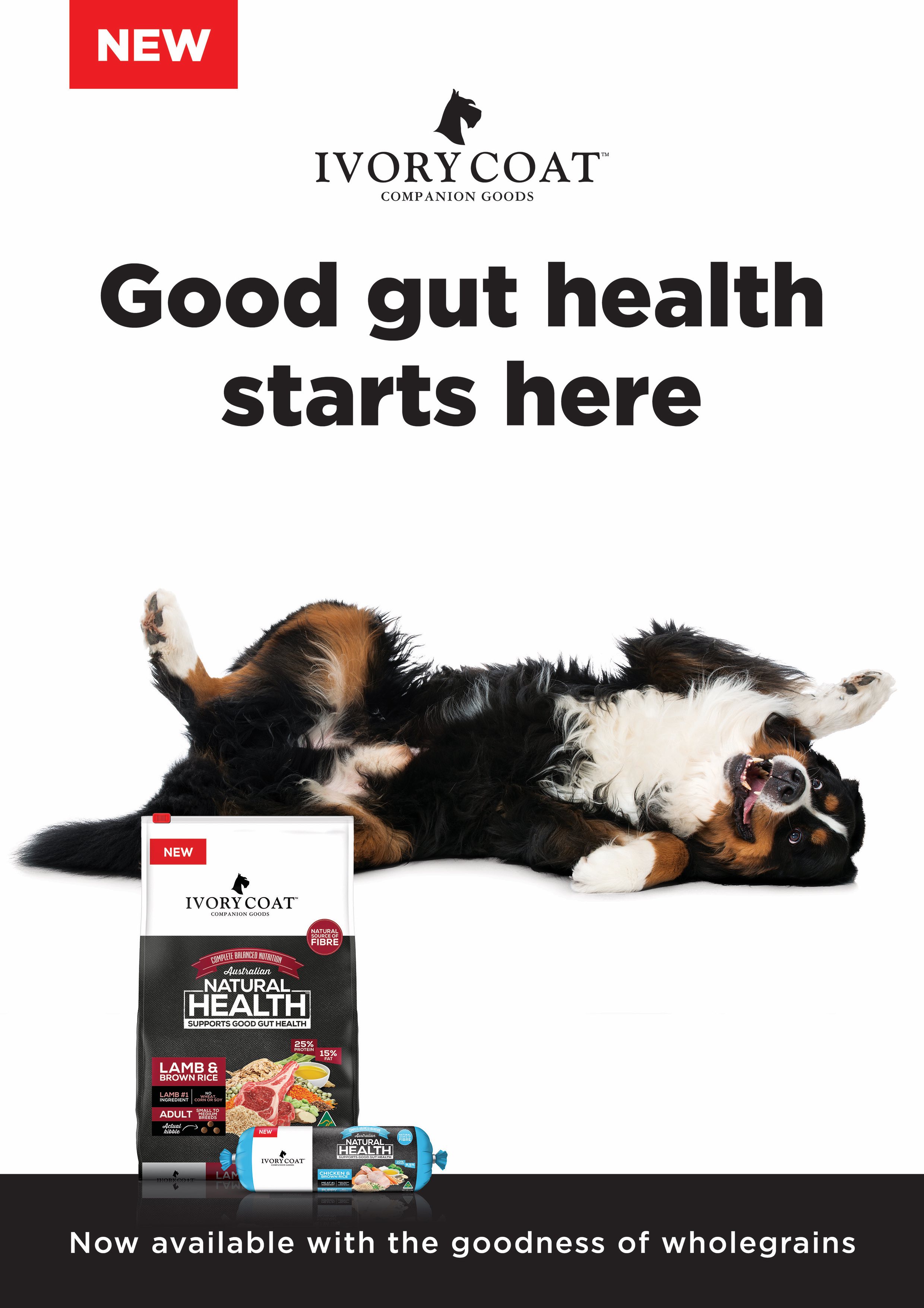 Ivory Coat Wholegrain educates dog owners on healthy pet food in new work via The Idea Shed
