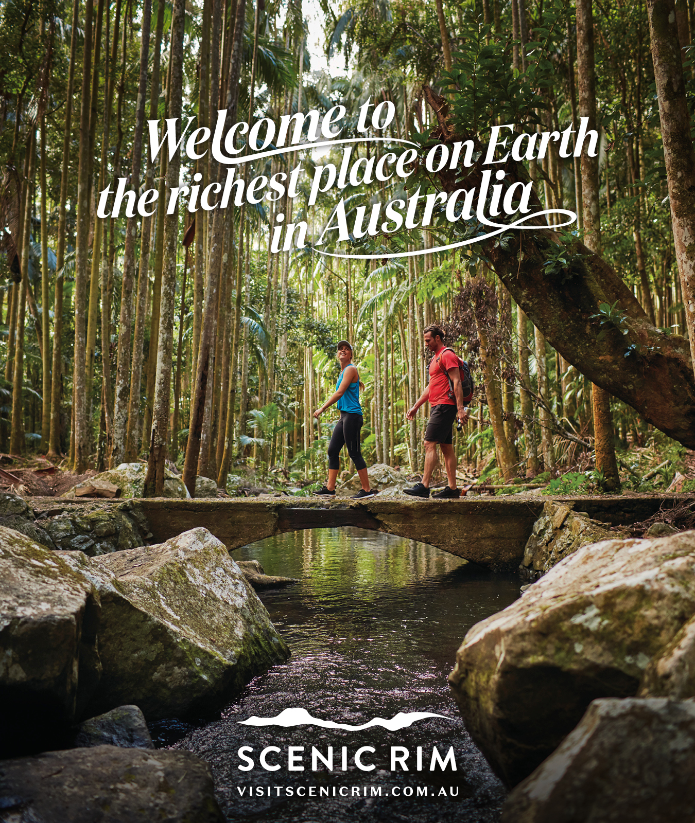 Brother & Co, Brisbane lends services with donated campaign concept to help bushfire affected Scenic Rim