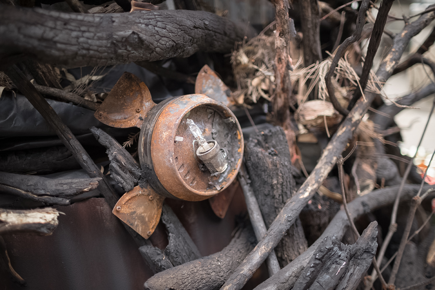 City of Sydney and the Australian Red Cross build The Burnt Christmas Tree to help communities rise from the ashes via DDB Sydney + Scoundrel