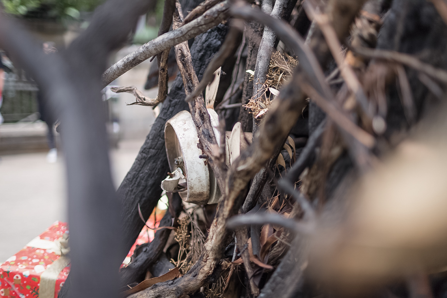 City of Sydney and the Australian Red Cross build The Burnt Christmas Tree to help communities rise from the ashes via DDB Sydney + Scoundrel