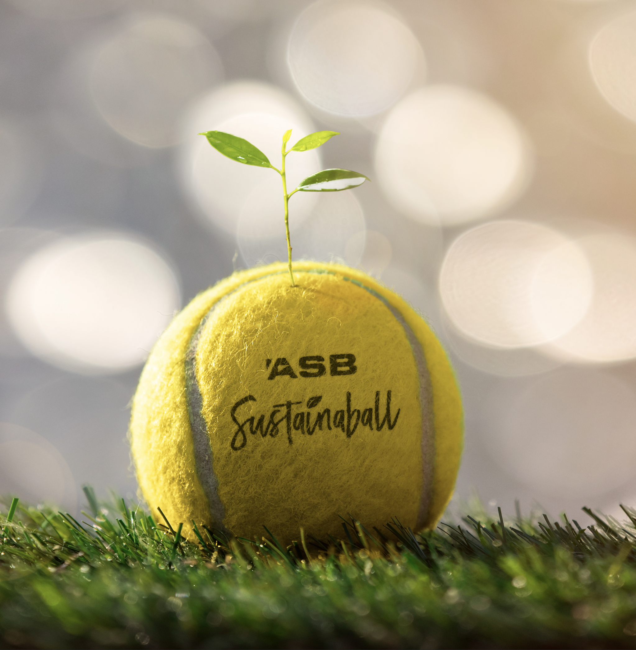 ASB creates the biodegradable ‘Sustainaball’ via WiTH Collective linked by Isobar New Zealand