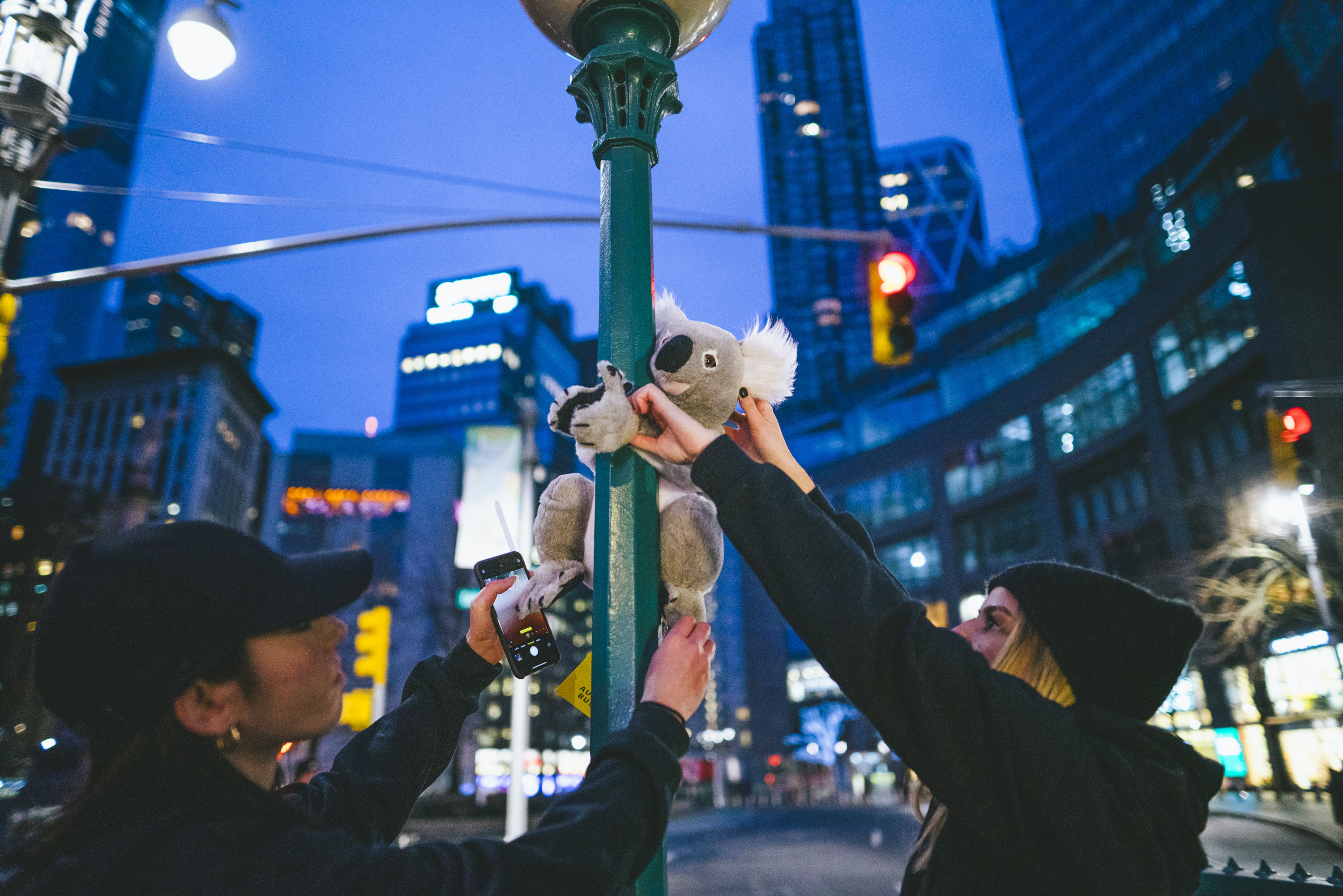 Cummins&Partners NYC takes action to help furry friends in Australia with @koalasofnyc
