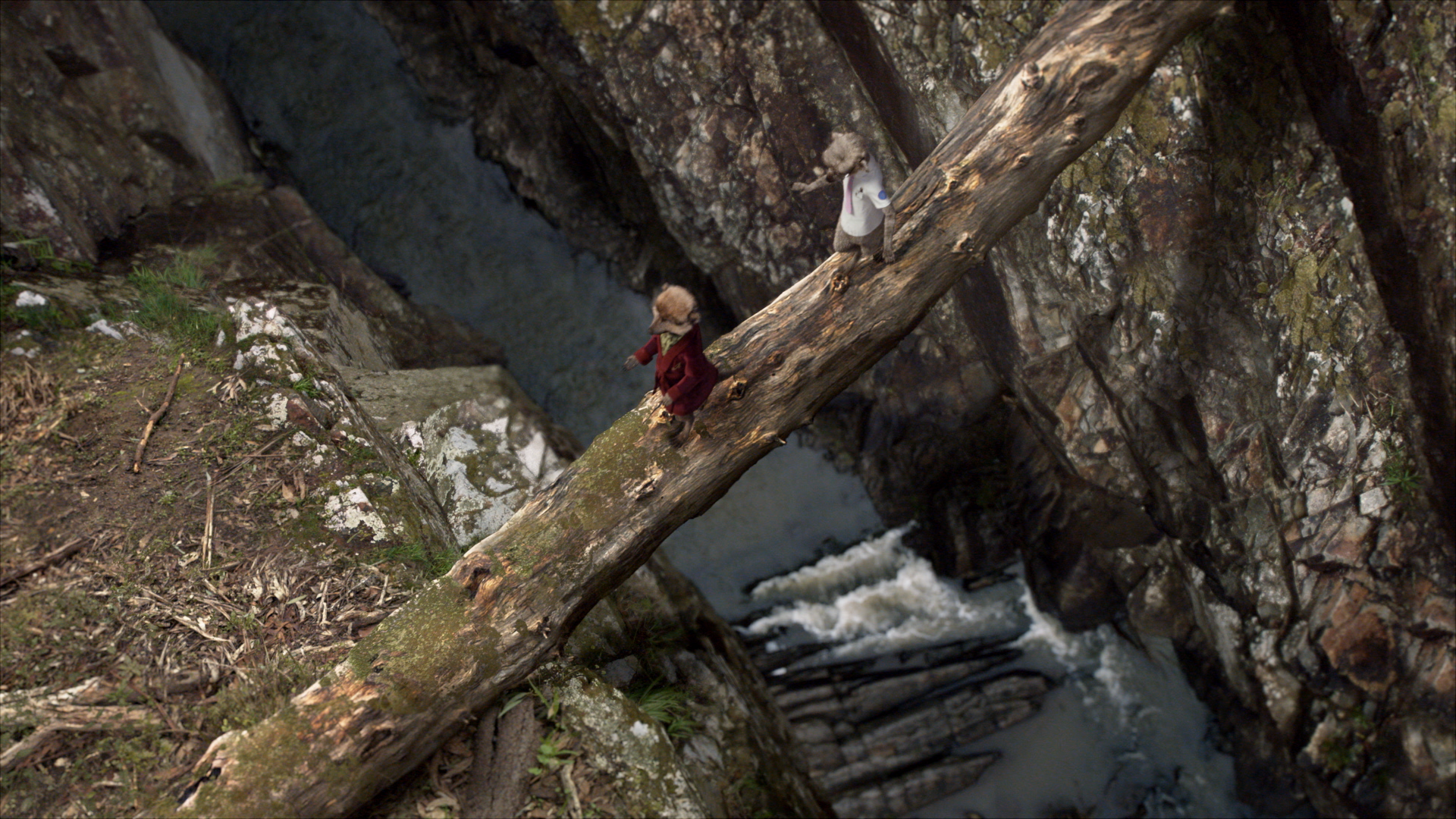 Meerkats take the long way home in Compare the Market’s second TVC instalment via VCCP Sydney