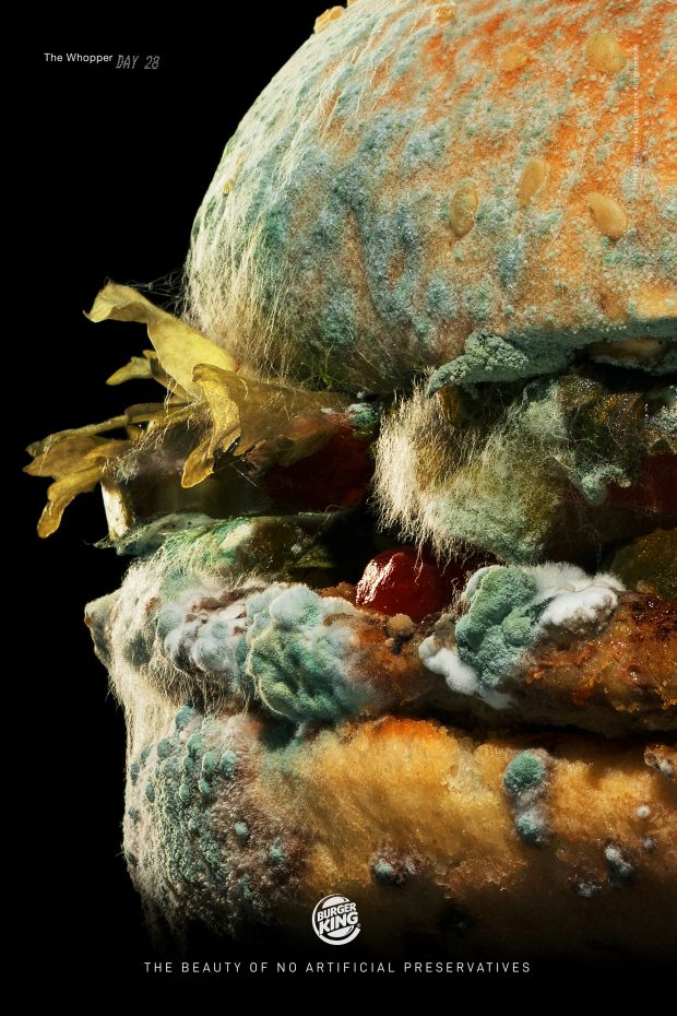 “I Asked for Extra Mould on Mine!” The Ad Industry’s Flaming Hot Takes on ‘Moldy Whopper’