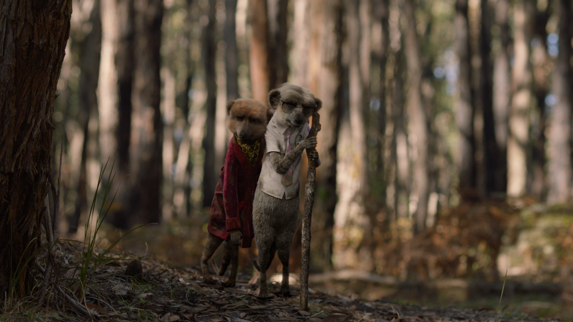 Dame Edna rescues meerkats in a classic case of mistaken identity in new TVC via VCCP Sydney