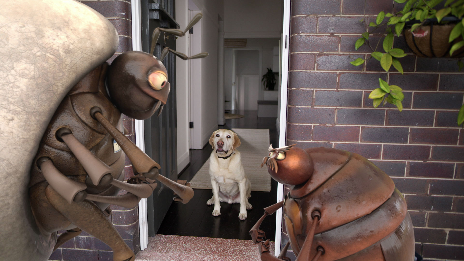 Simparica shuts out flea infestations in newly launched TV campaign via Orchard