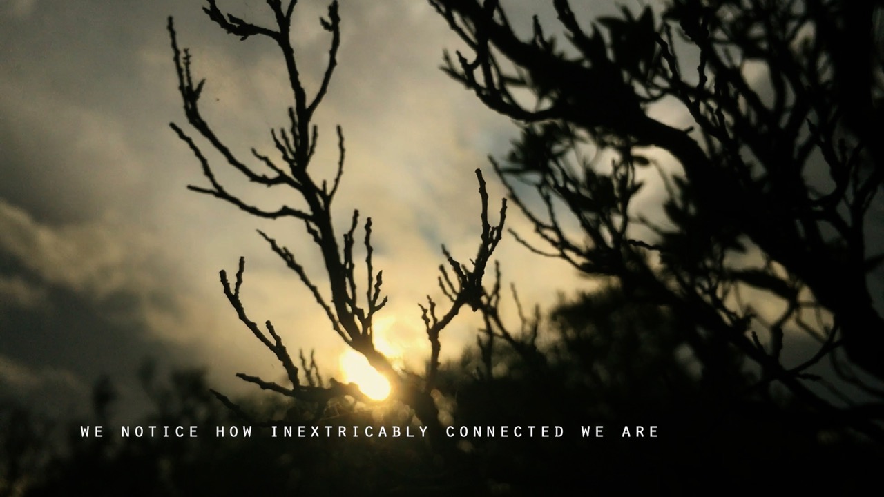 The ProducersCONNECT Virtual Cinematheque to release a new film every Wednesday at 12 noon