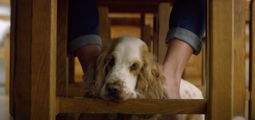 Black Hawk + VitaPet say thanks to four legged fur workers in social campaign via The Works