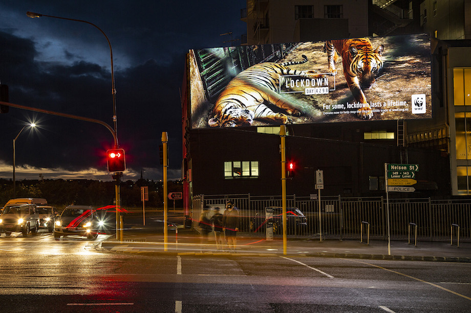 As NZ leaves lockdown WWF NZ reminds us that for some, lockdown lasts a lifetime in new campaign via Colenso BBDO + Hearts and Science