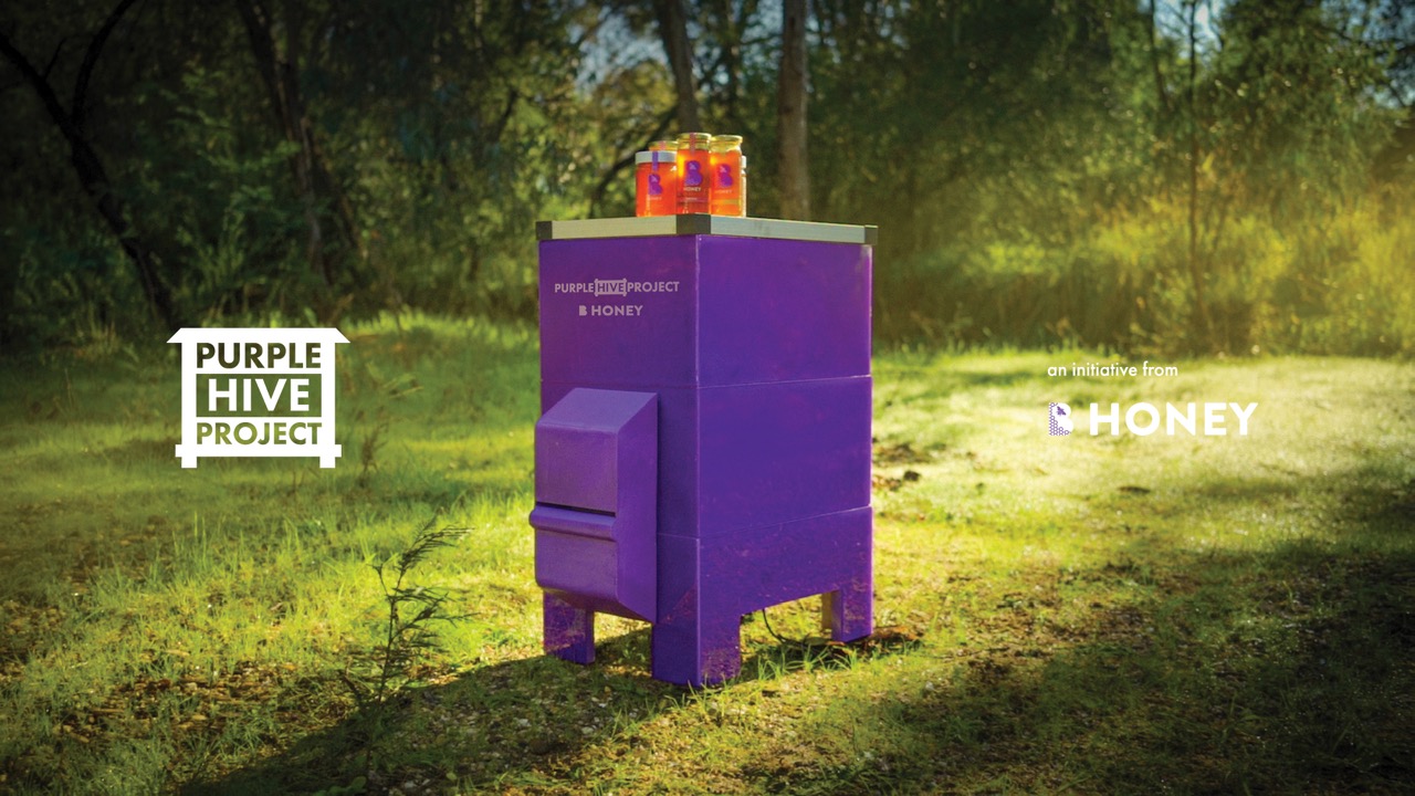 Bega launches the ‘Purple Hive Project’ to protect Australian bees via Thinkerbell