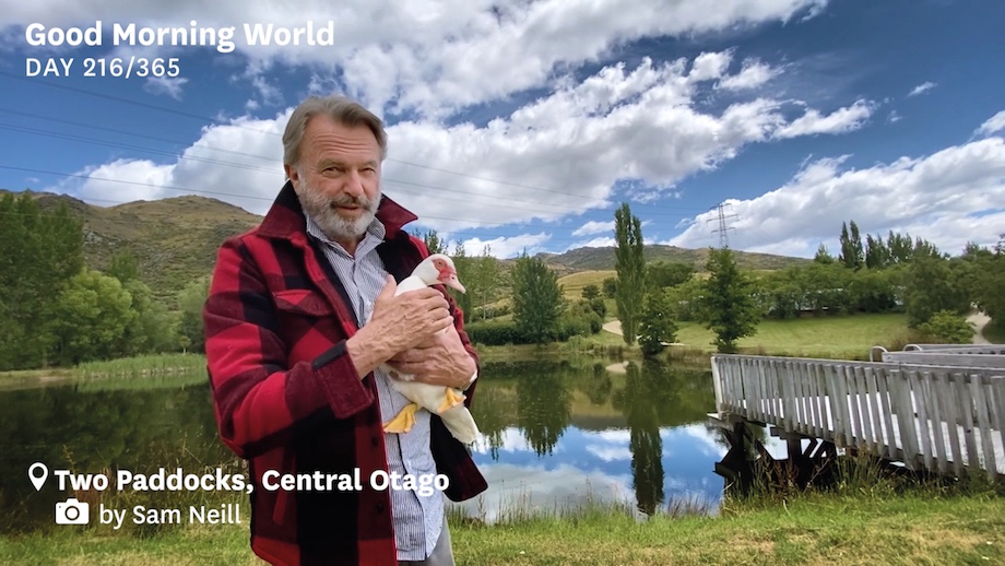 Special Group’s ‘Good Morning World’ campaign for Tourism NZ voted world’s most effective at Global Effie: Multi Region competition