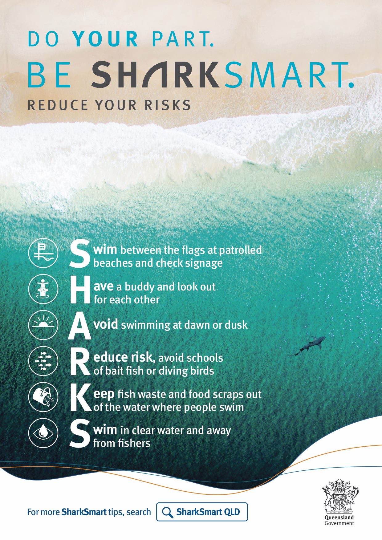 Queensland Government launches new shark safety campaign via GrowthOps Brisbane