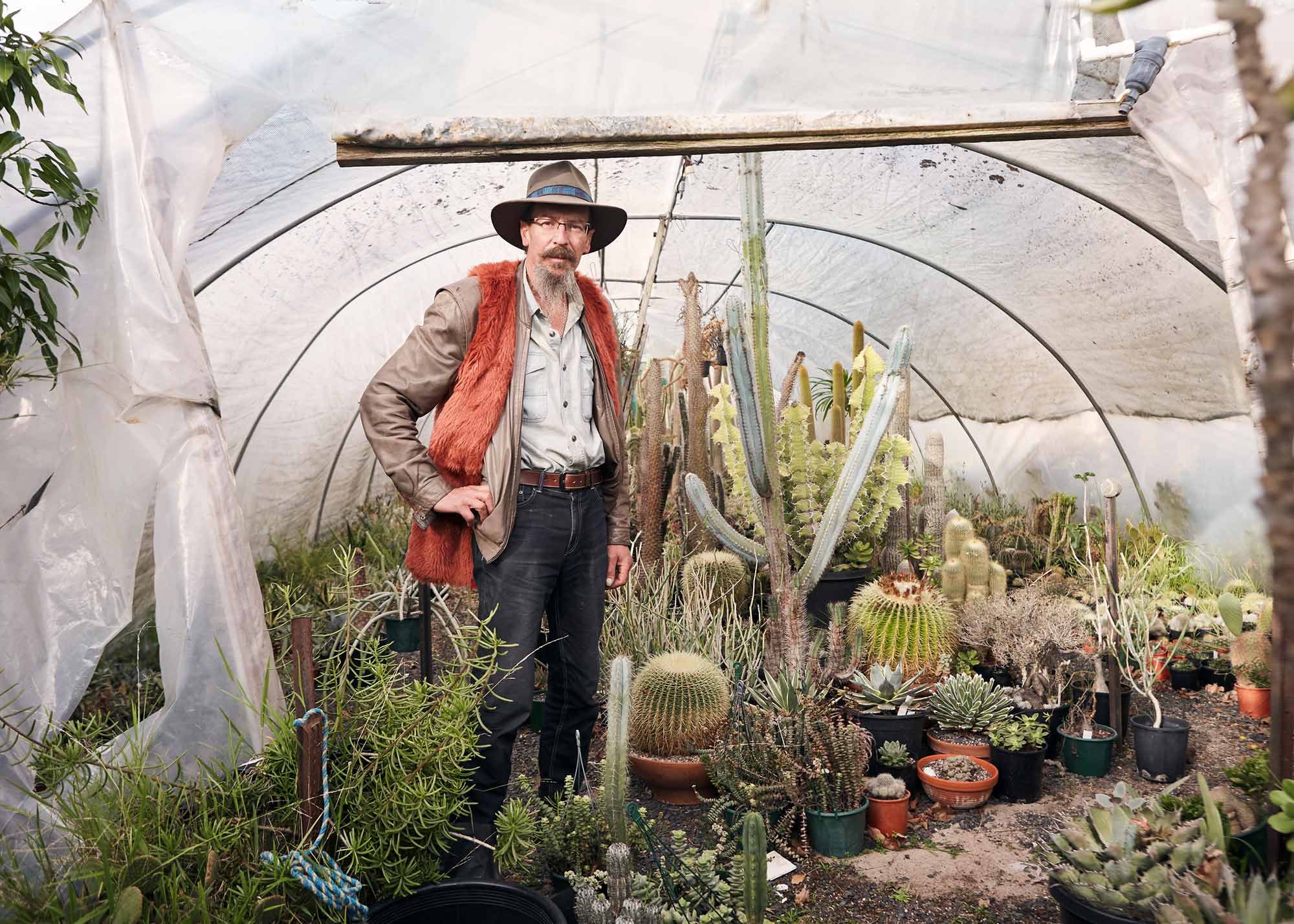 Miss Bossy Boots photographer Heather Dinas’ Cactus flower blooms digitally in global exhibit