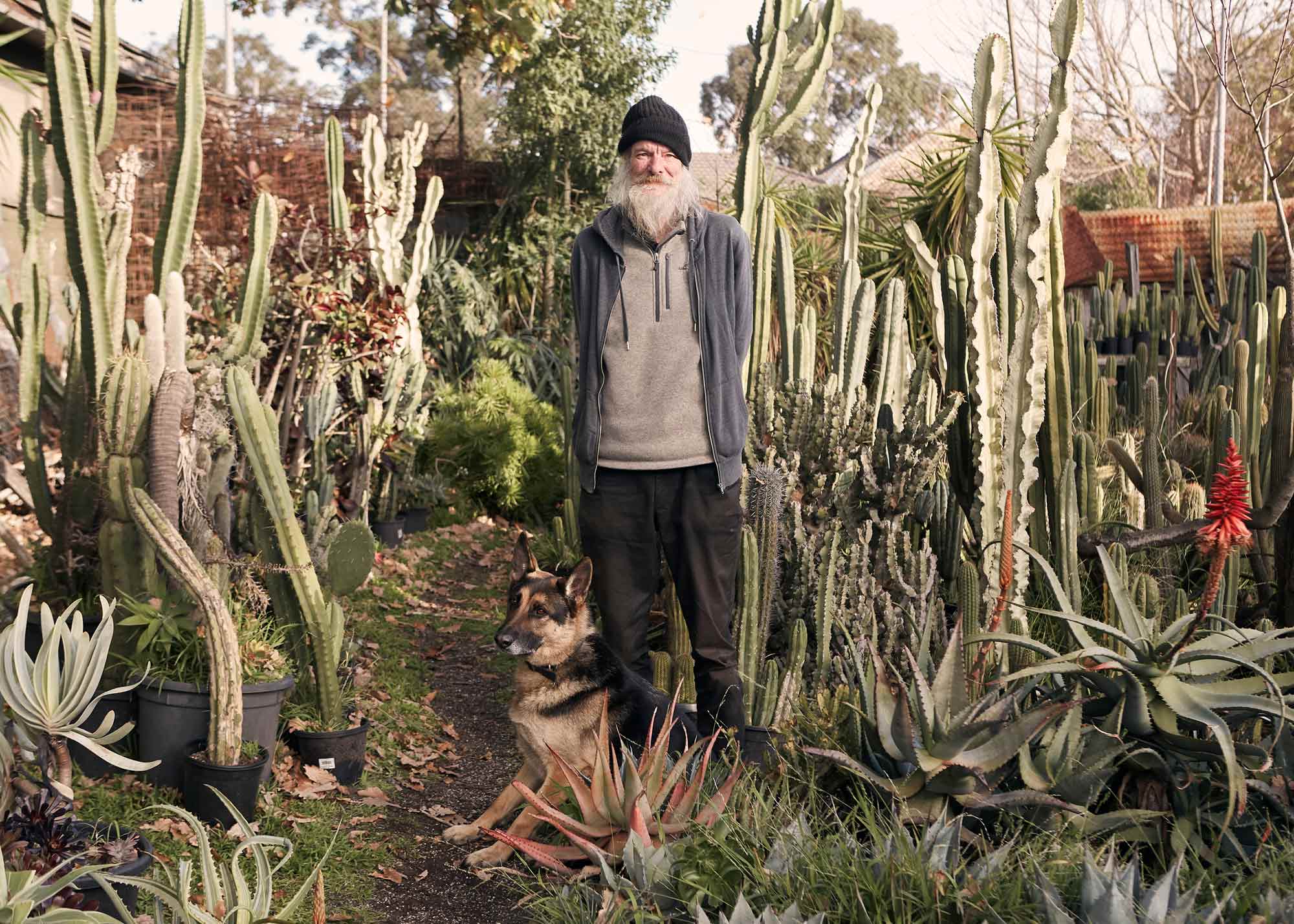 Miss Bossy Boots photographer Heather Dinas’ Cactus flower blooms digitally in global exhibit