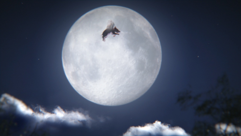Animals Australia takes flight in new emotional campaign via VANDAL
