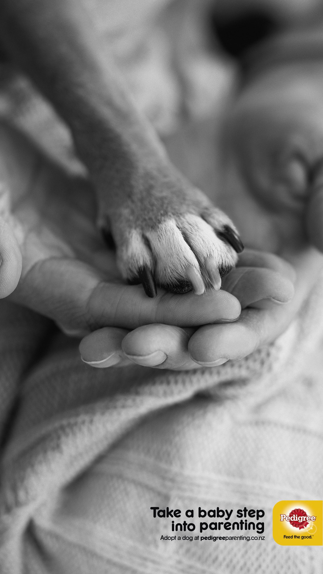 Pedigree Adoption campaign via Colenso BBDO calls on millennials to take a step into parenting