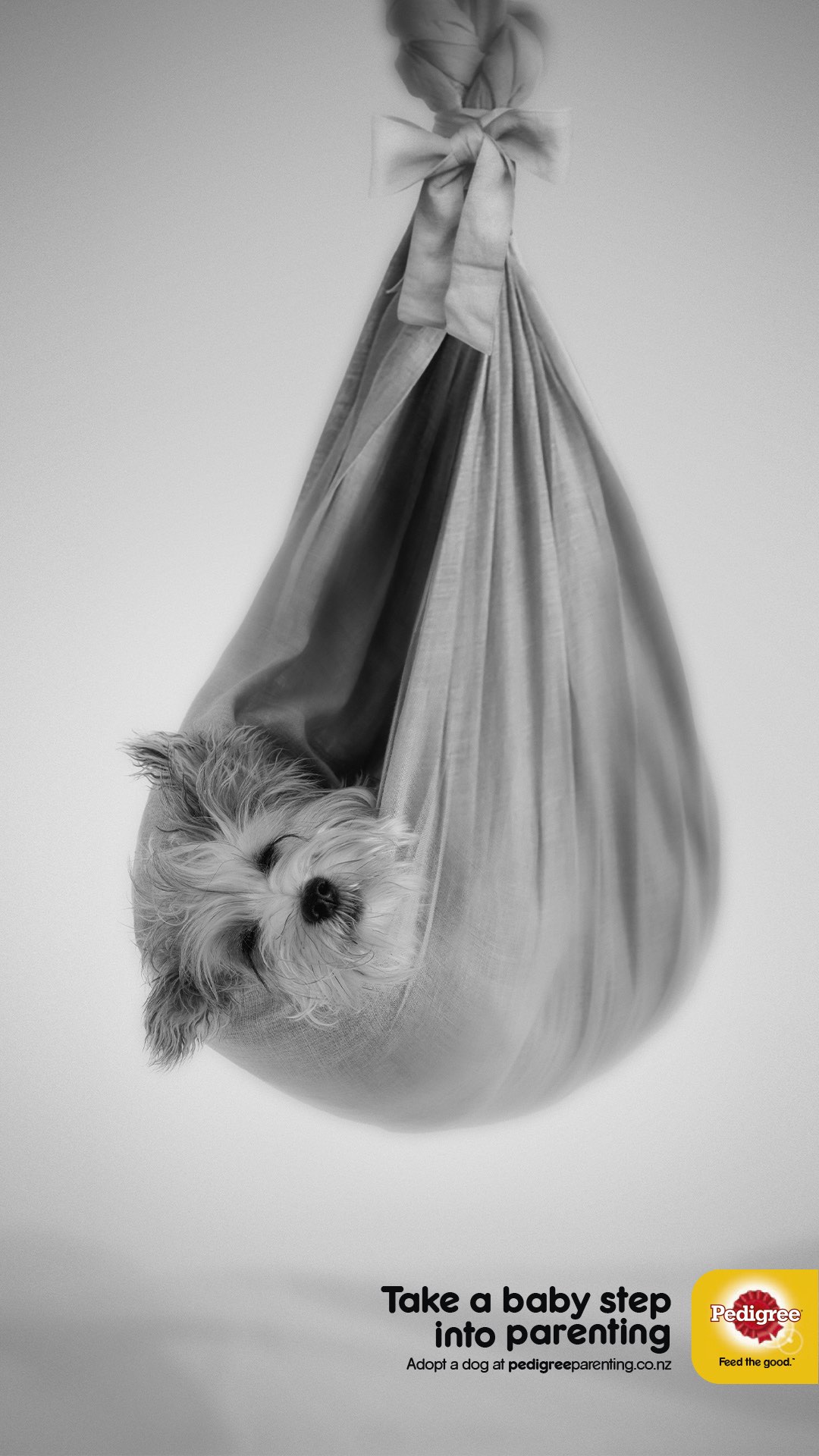 Pedigree Adoption campaign via Colenso BBDO calls on millennials to take a step into parenting