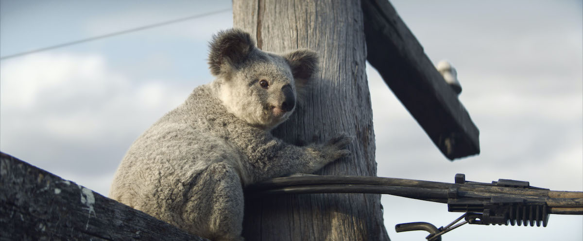 The Monkeys, Leo Burnett and BMF all make the cut at shortlist stage of Tangrams Awards 2021