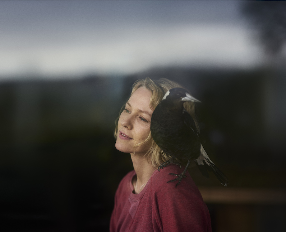 Alt.vfx celebrates the success of Glendyn Ivin’s Penguin Bloom