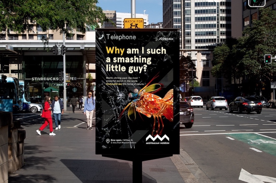 Australian Museum relaunches with new campaign via SomeOne, VCCP and Atomic 212°