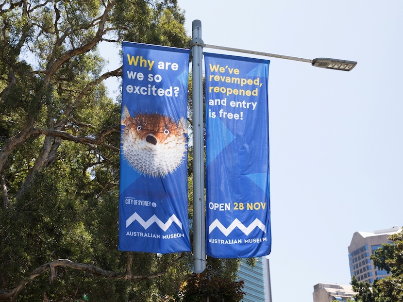Australian Museum relaunches with new campaign via SomeOne, VCCP and Atomic 212°
