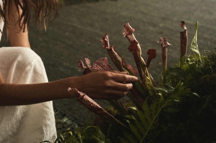 Armadillo celebrates new collection with launch of new ‘Rhythm of Nature’ campaign