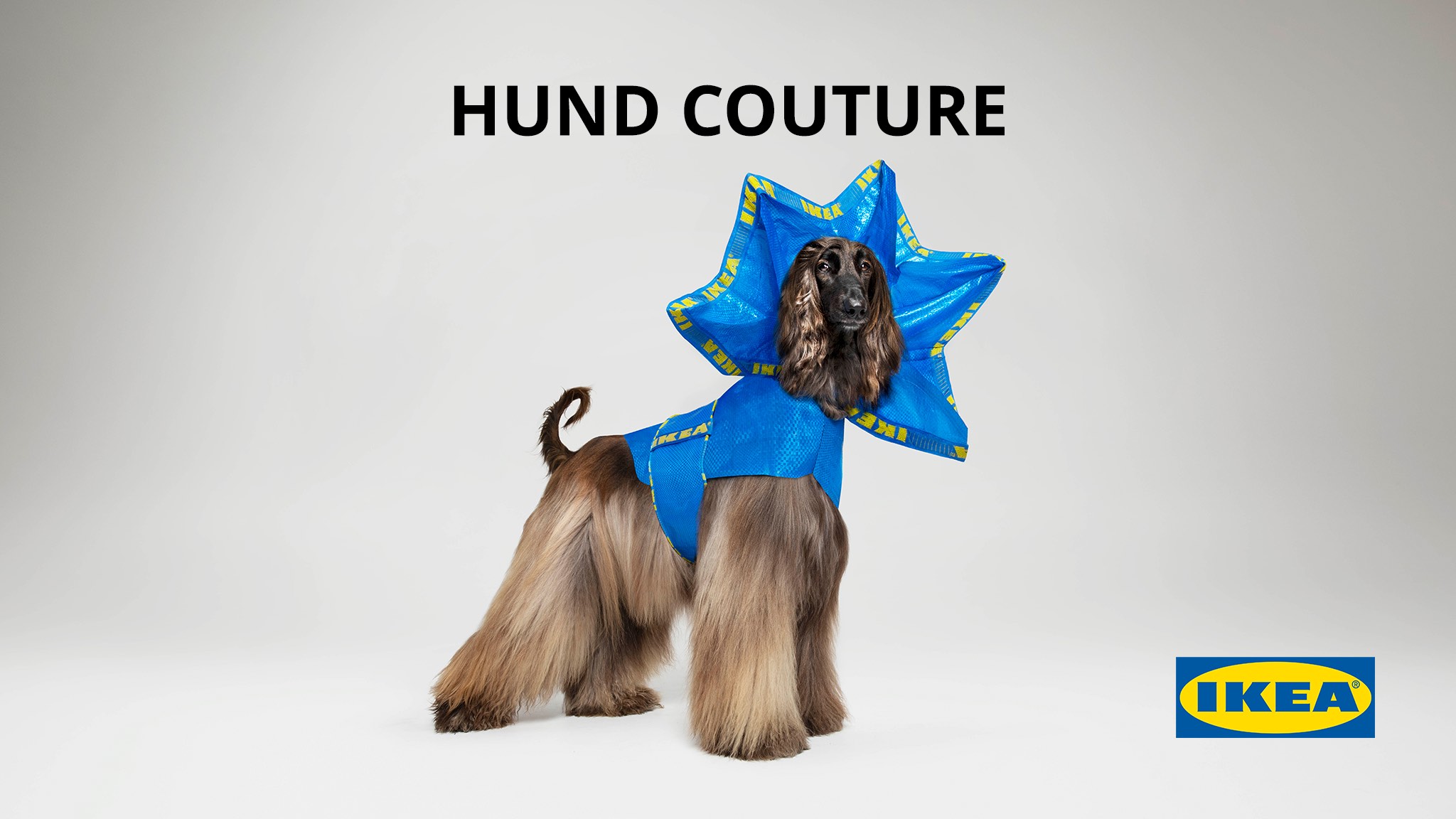 IKEA launches HUND COUTURE for dogs in April Fools’ Day campaign via CHE Proximity