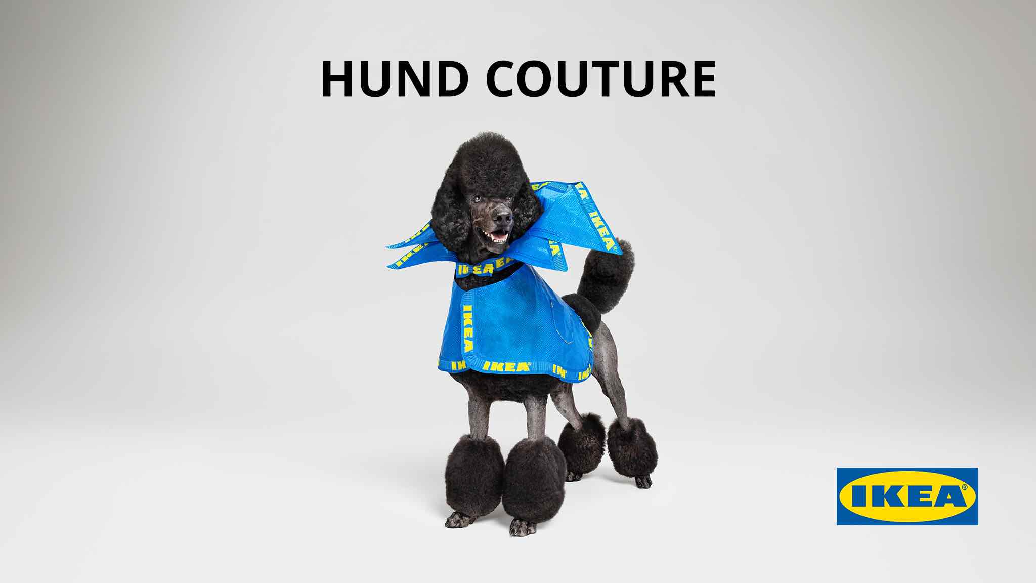 IKEA launches HUND COUTURE for dogs in April Fools’ Day campaign via CHE Proximity