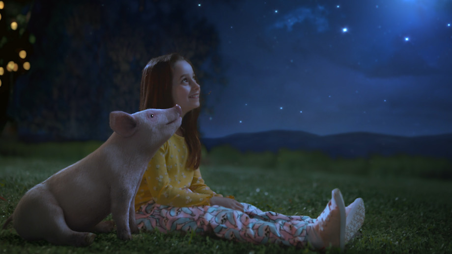 Animals Australia invites Australia to ‘Join the Evolution’ in new emotional film via VANDAL