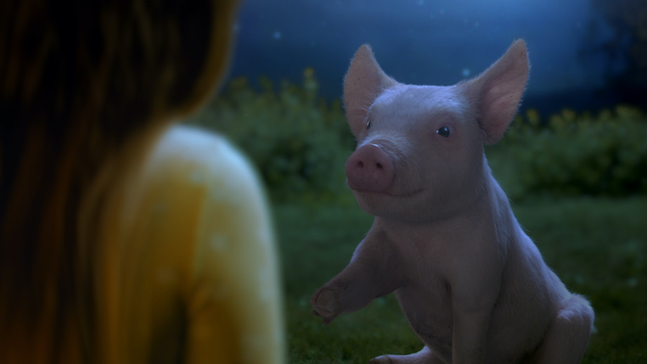 Animals Australia invites Australia to ‘Join the Evolution’ in new emotional film via VANDAL