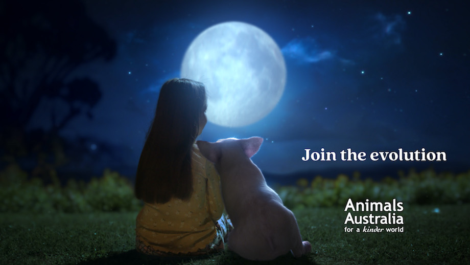 Animals Australia invites Australia to ‘Join the Evolution’ in new emotional film via VANDAL