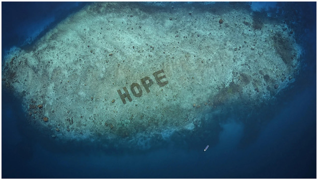 AMV BBDO London picks Aussie collective The Glue Society to help SHEBA put ‘HOPE’ on the map