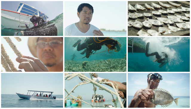 AMV BBDO London picks Aussie collective The Glue Society to help SHEBA put ‘HOPE’ on the map