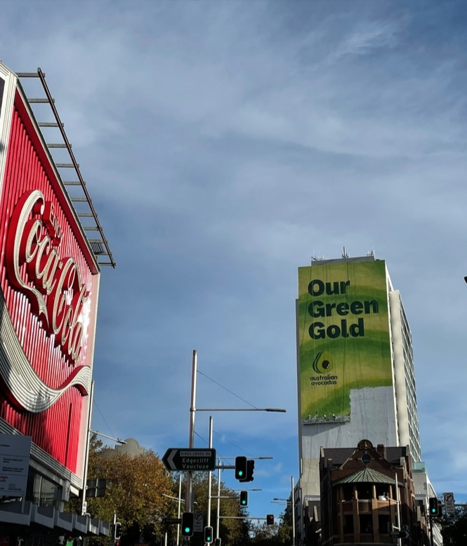 Australian avocados officially unofficially sponsor pretty much everything Australian ever in new ‘Our Green Gold’ campaign via TBWA\Sydney