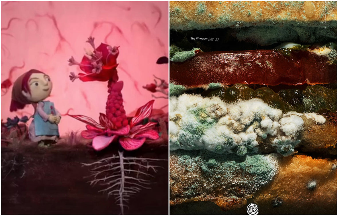 View all of the Grand Prix award-winning campaigns from Cannes Lions 2021