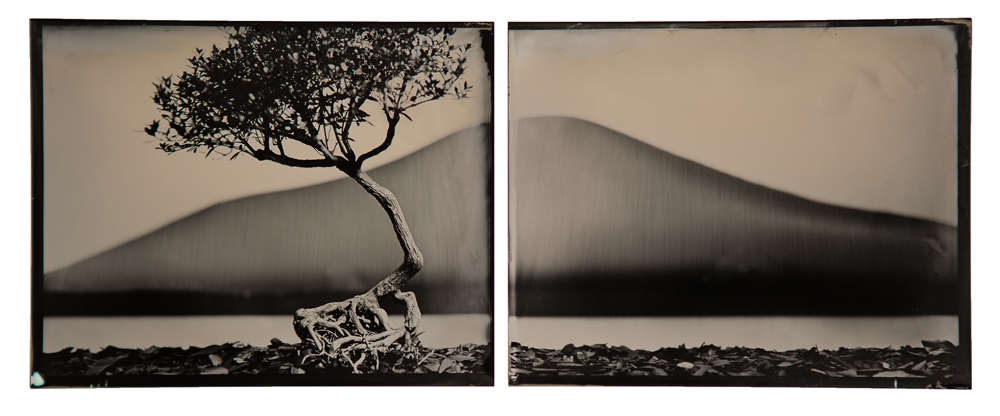 ‘#Some_Pictures’ an exhibition by Adrian Cook opens today Thursday 10th June in Sydney