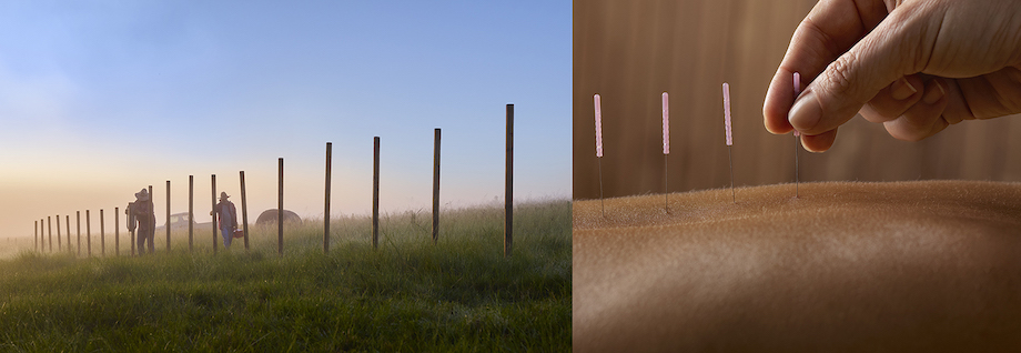 Photoplay Photography welcomes Nick Bowers and celebrates five years