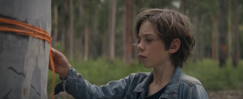 The Monkeys wins Grand Effie + Effective Agency of the Year title at 2021 Australian Effie Awards