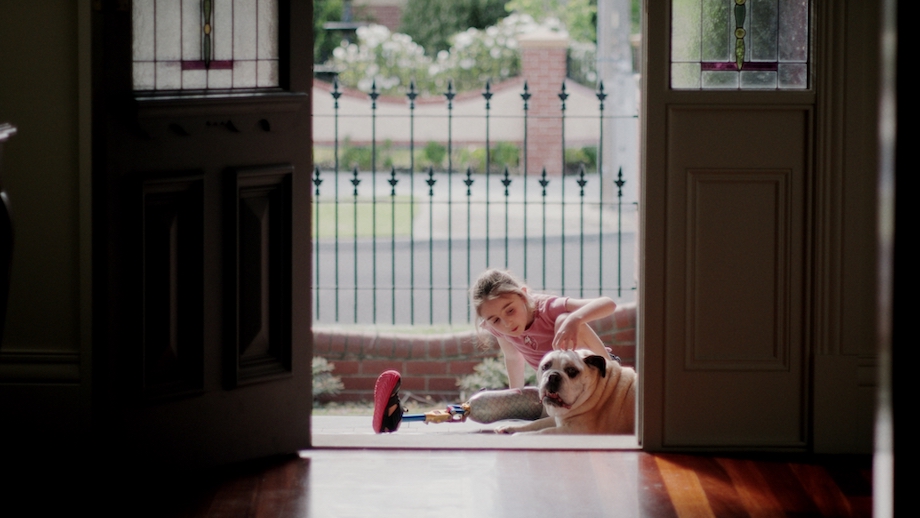 PETstock Assist launches new campaign for its Christmas Bowl Project via Communicado