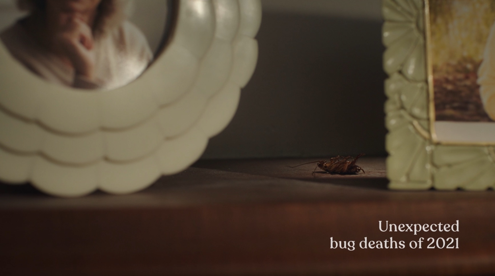 Aerogard Home celebrates dearly departed bugs with In Memoriam film via Host/Havas, Sydney