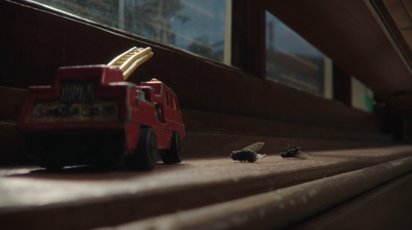 Aerogard Home celebrates dearly departed bugs with In Memoriam film via Host/Havas, Sydney