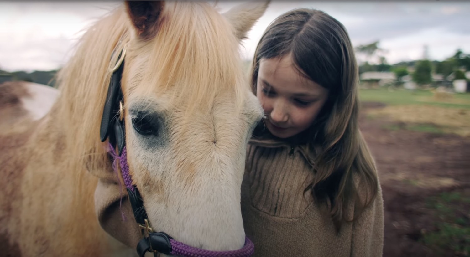 PETstock Assist launches new campaign for its Christmas Bowl Project via Communicado