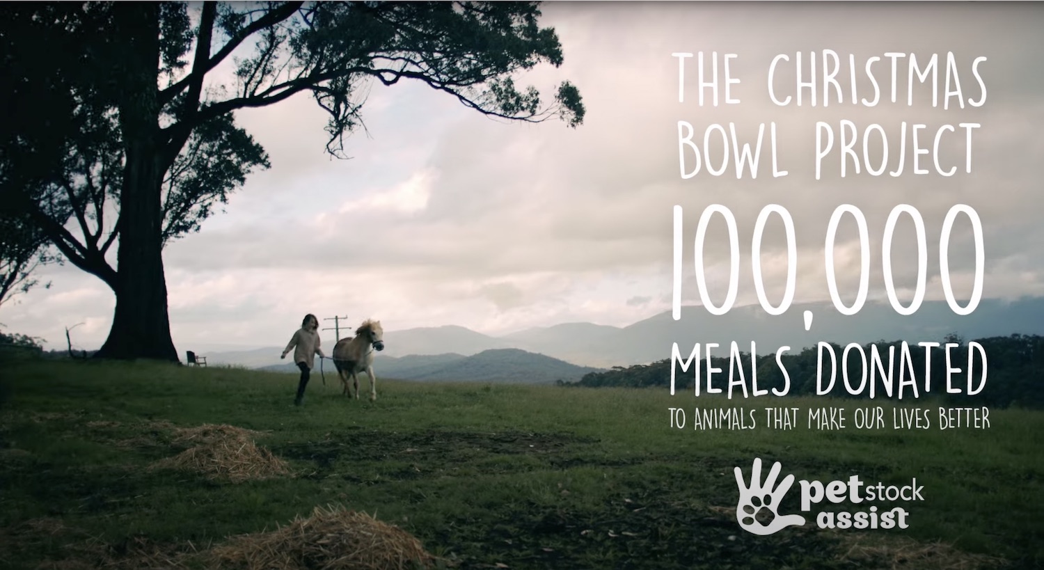 PETstock Assist launches new campaign for its Christmas Bowl Project via Communicado