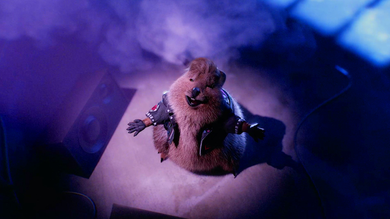 HBF Quokkas declare ‘not for profit is love’ in new power ballad campaign via Leo Burnett