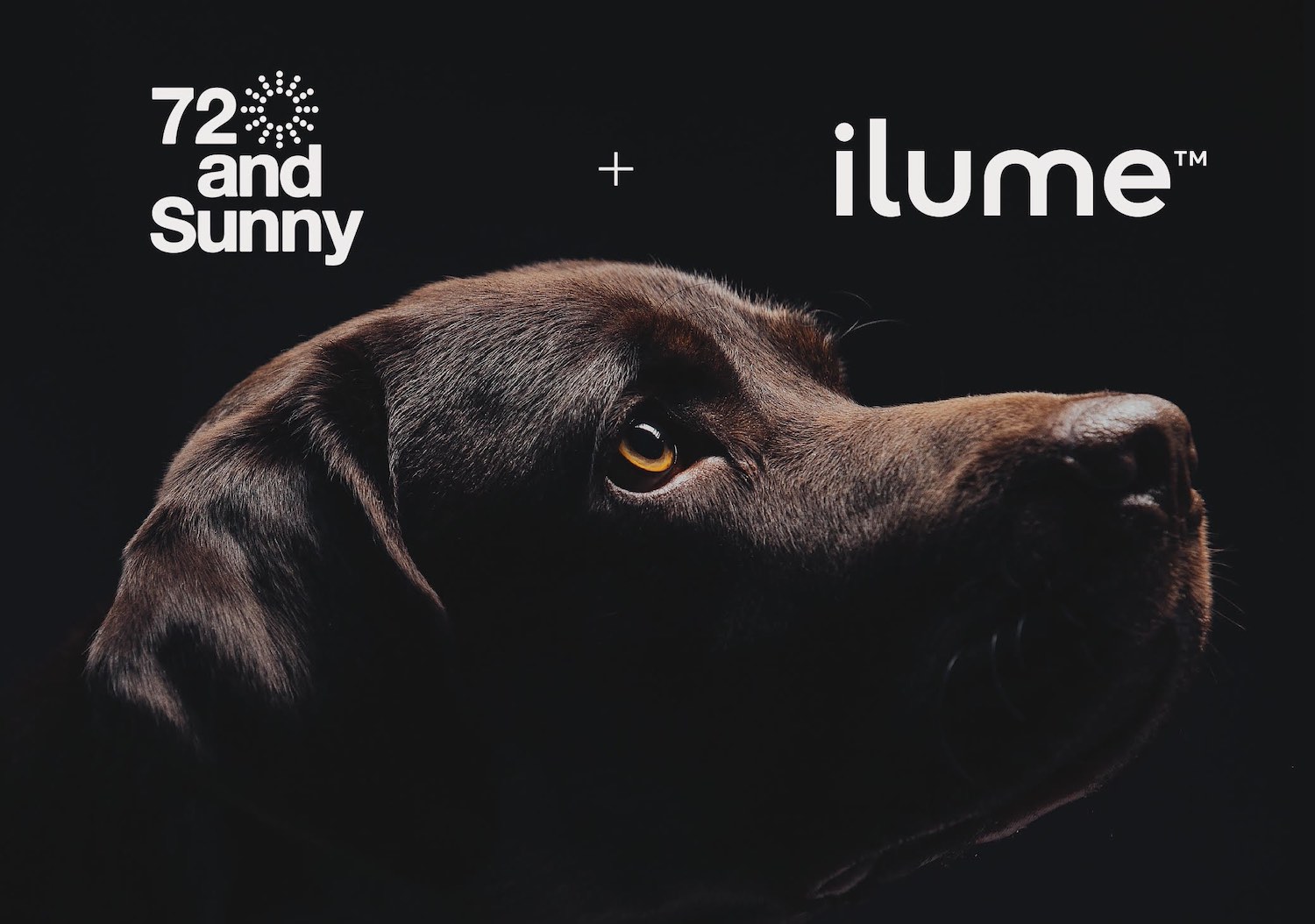 Pet tech company ilume appoints 72andSunny, Sydney as new creative agency